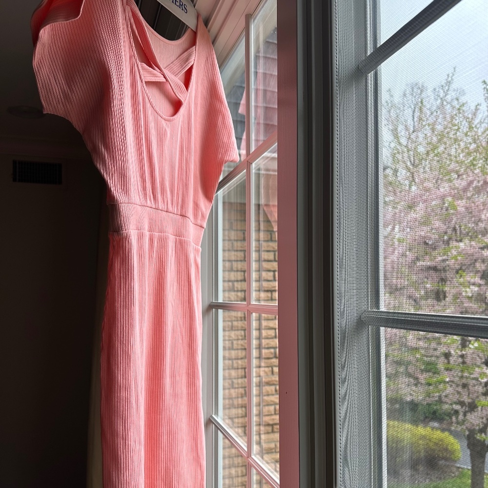 NWOT anthropology dress